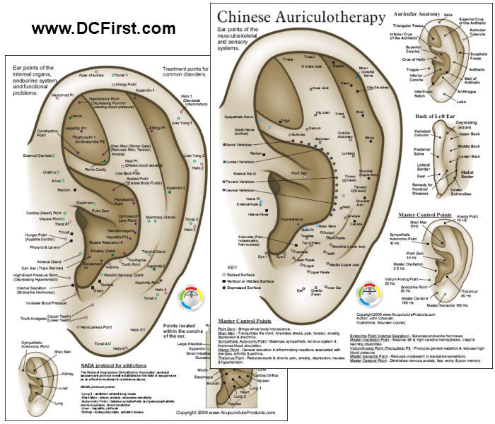 Chinese System of Ear Acupuncture Chart