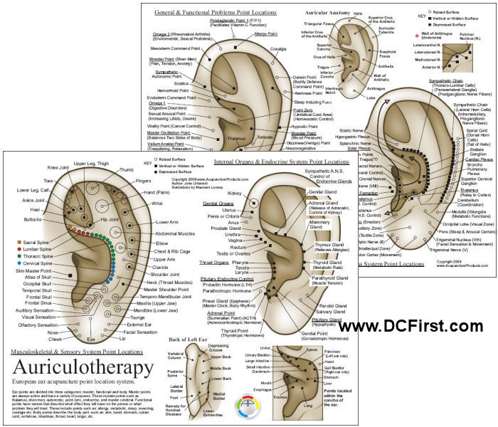 Auriculotherapy Ear Acupuncture Chart
