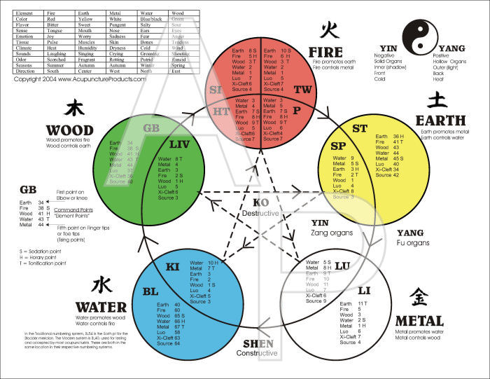 Five Shu Points Chart