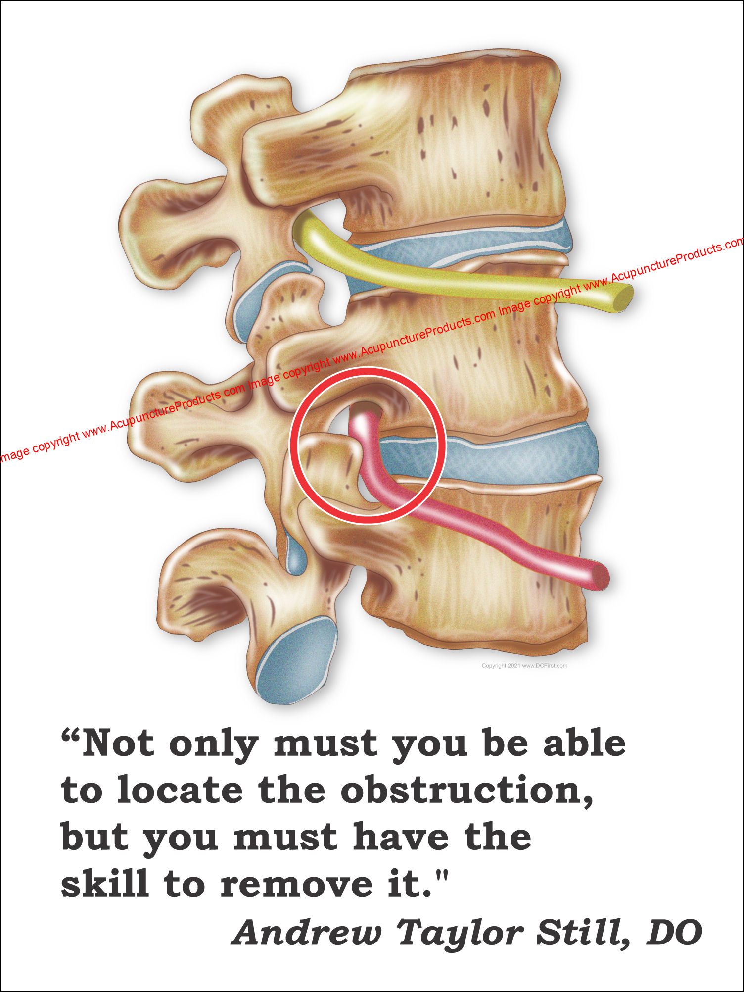 Osteopathic Quote Obstruction Poster