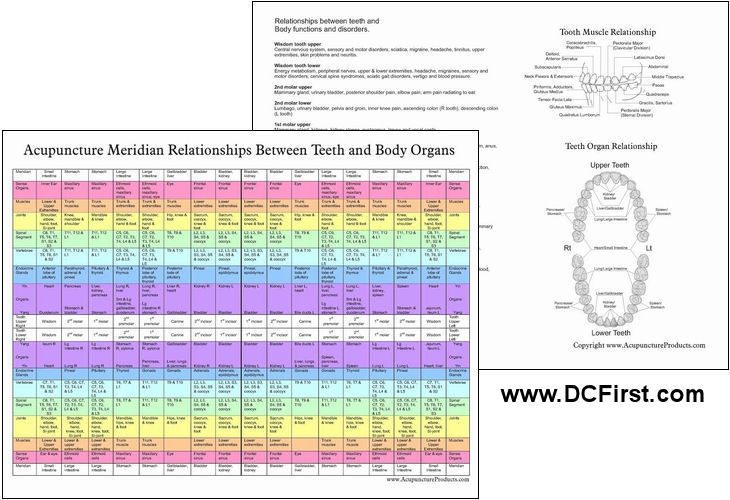 dental-tooth-meridian-chart