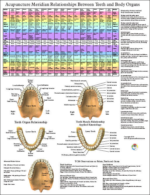 Tooth Meridian Chart Emotions vrogue.co