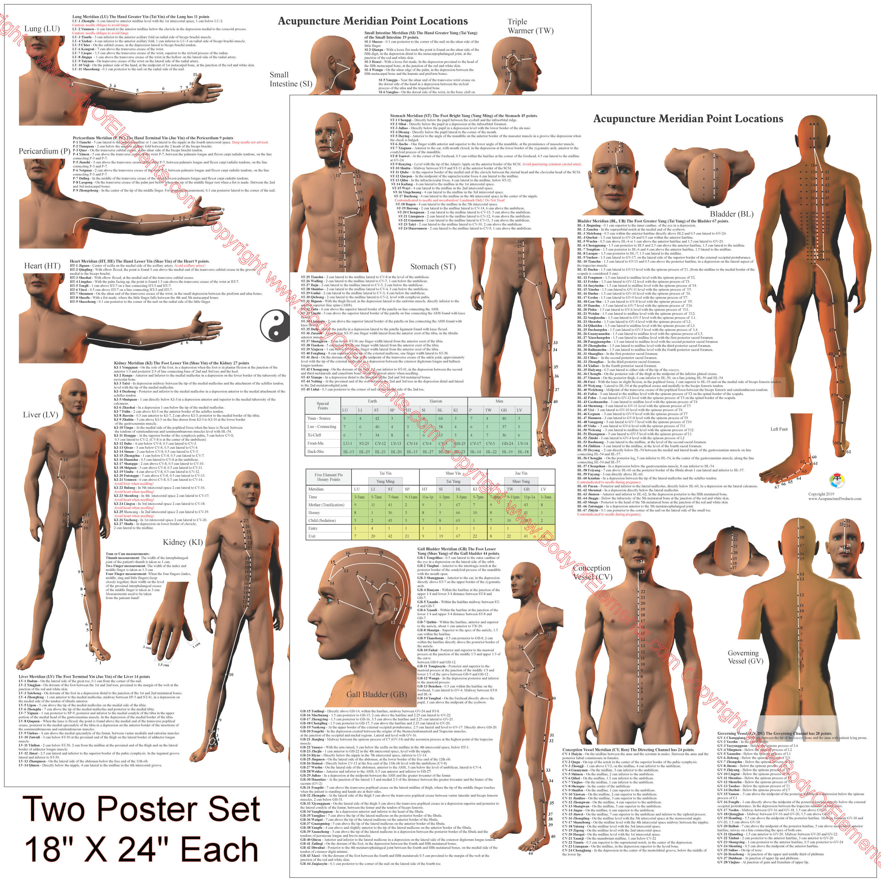 Acupuncture Point Location Reference Posters