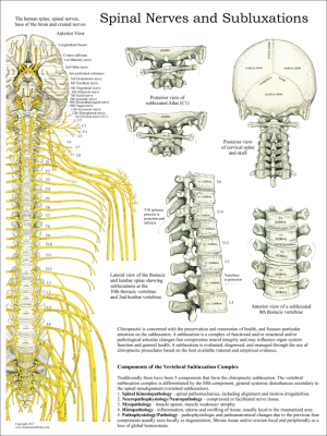 Chiropractic Subluxation Complex Poster