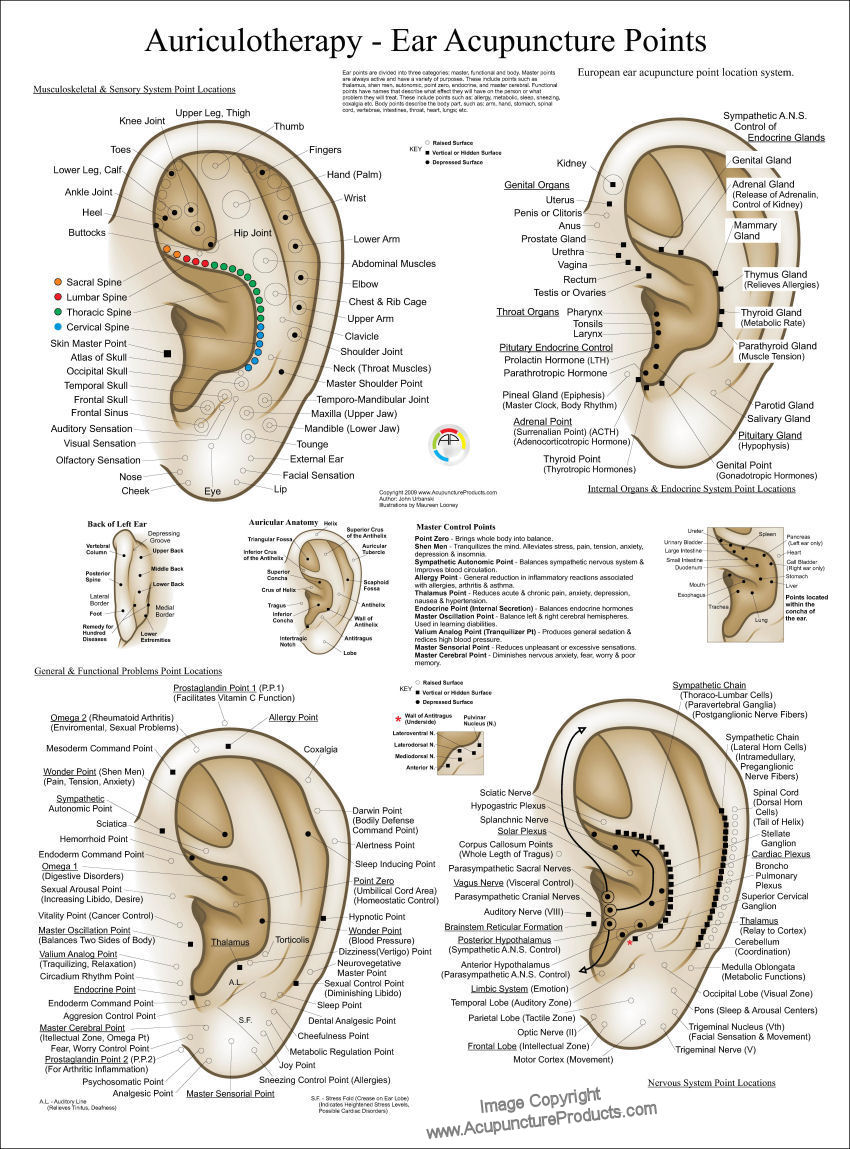Auricular Ear Acupuncture Poster