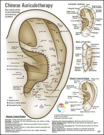 Atlas of Acupuncture Points Guide to Point Locations and Formulas