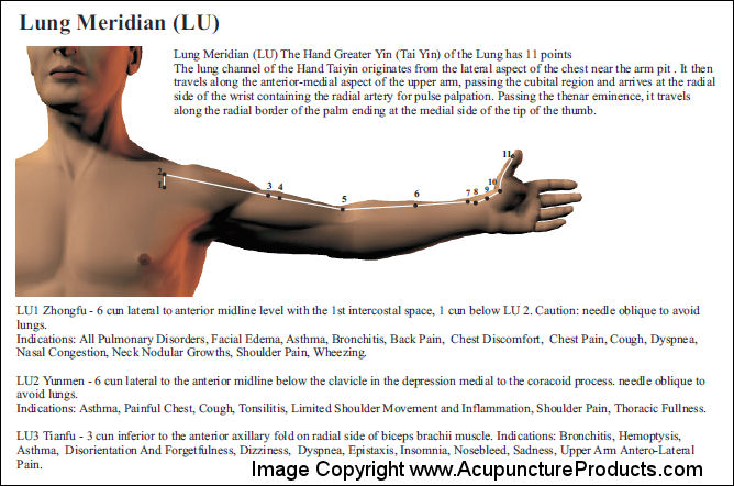 Atlas Of Acupuncture Points Guide To Point Locations And