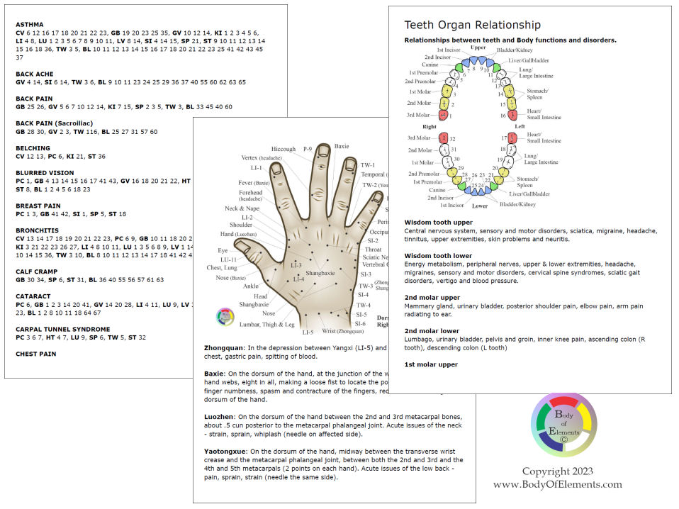 Acupuncture Handbook