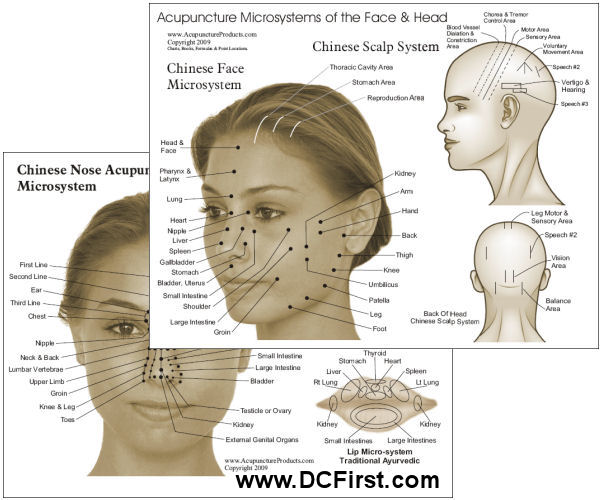 Microsystems of Acupuncture Chart