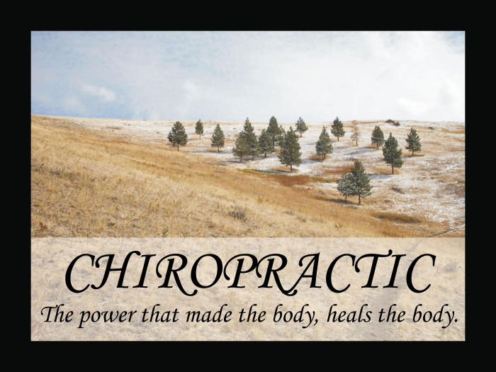 Chiropractic Saying