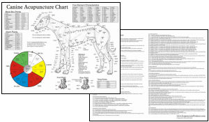 Veterinary Acupuncture Posters and Charts