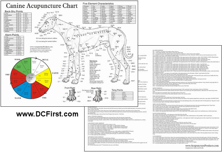 canine-dog-acupuncture-chart