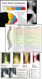Chiropractic Posters