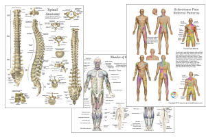 Chiropractic Student Resources