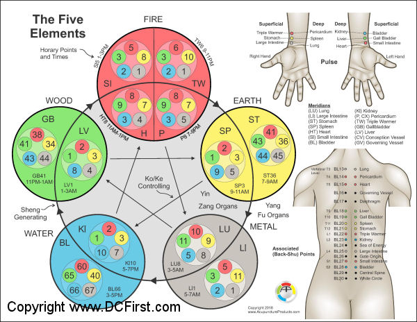 Applied Kinesiology Five Element Points