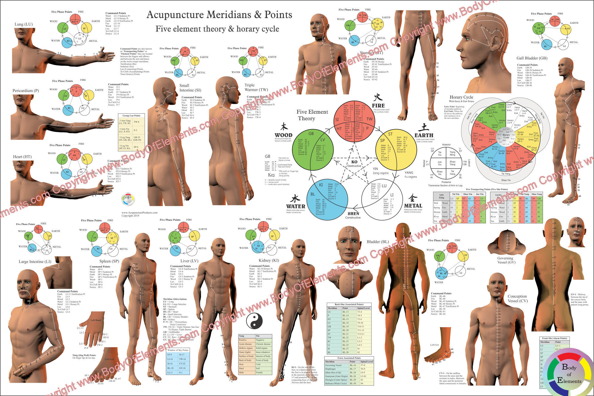 Acupuncture Meridian Points