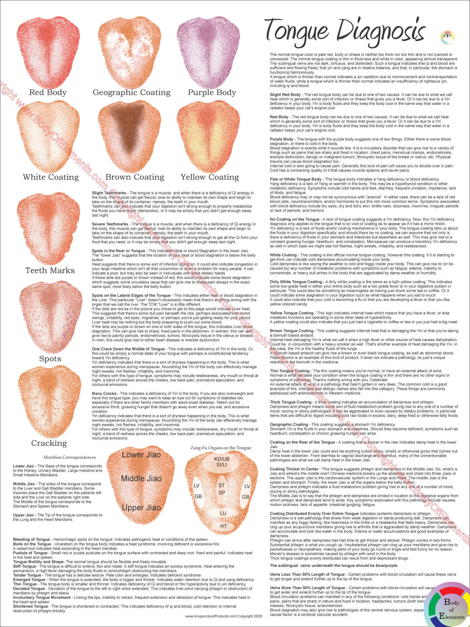 Chinese Tongue Diagnosis Poster