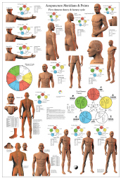 Acupuncture Meridian Points